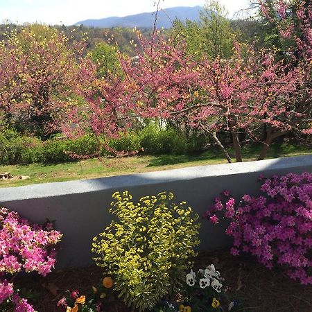 Biltmore Village Inn B&B Asheville Dış mekan fotoğraf