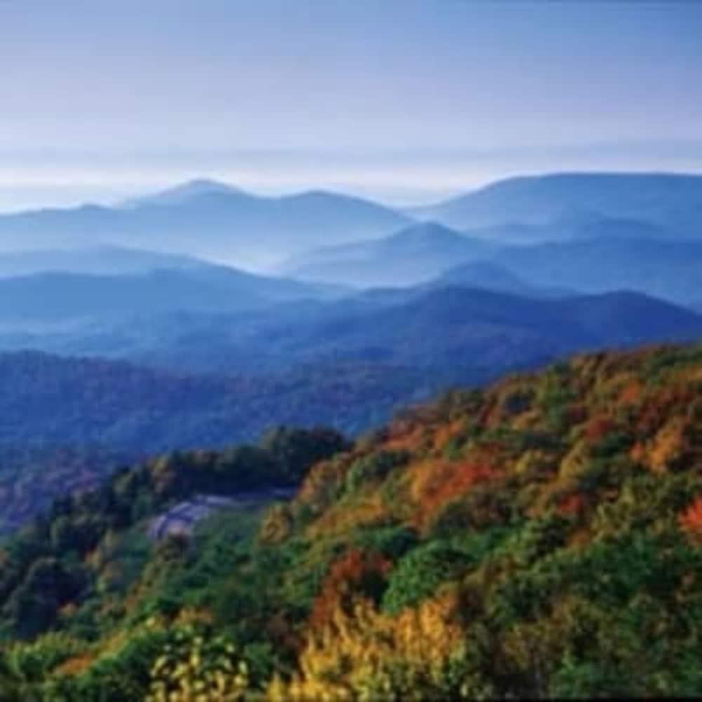 Biltmore Village Inn B&B Asheville Dış mekan fotoğraf